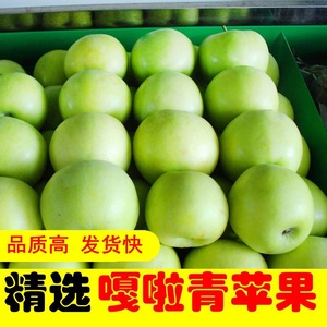 青苹果5/10斤一青嘎啦水果酸甜脆爽澳洲青萍王林果